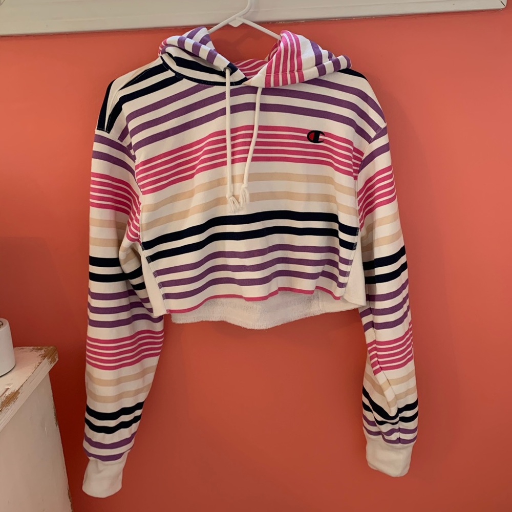 Champion Hoodie (cropped)